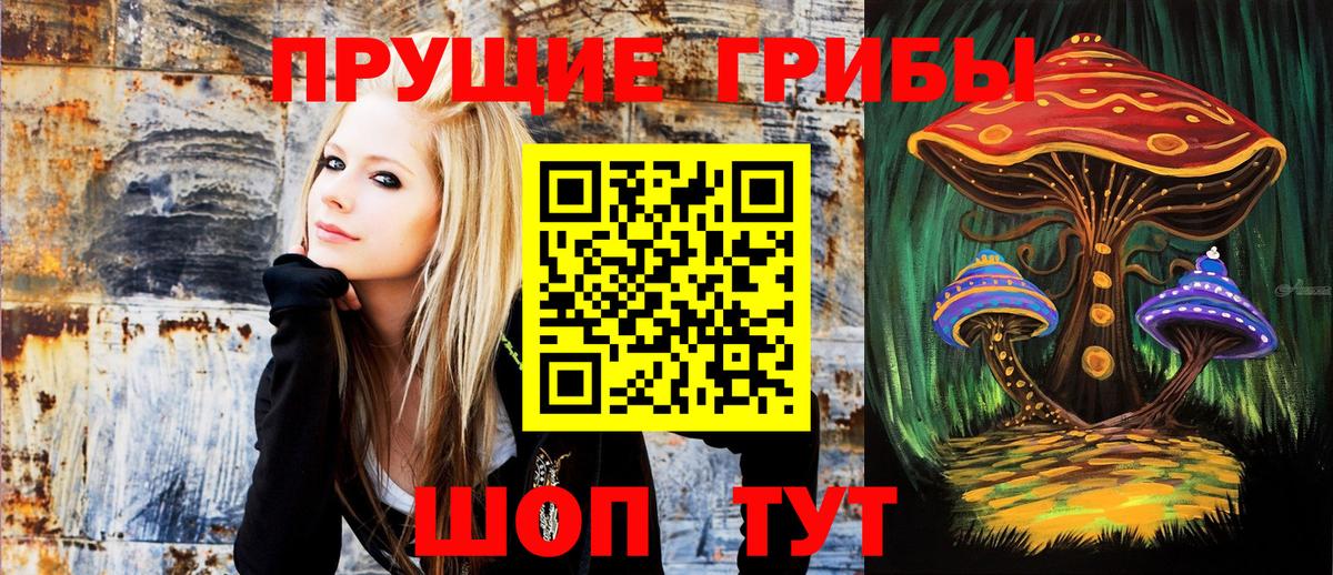 Галлюциногенные грибы Psilocybe Шелехов
